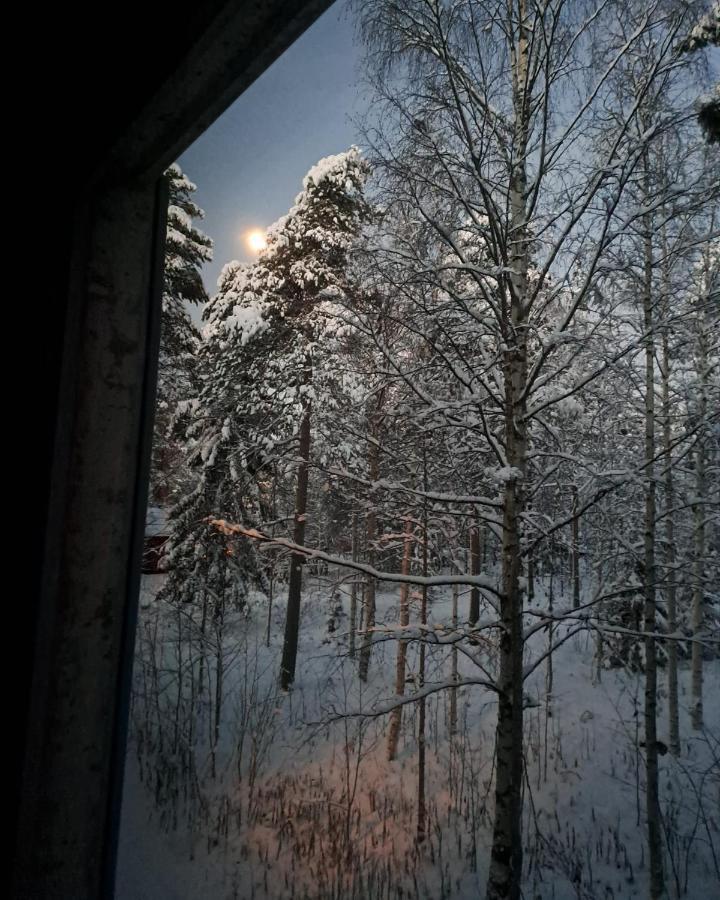 Room In Polar Circle Rovaniemi Exterior photo